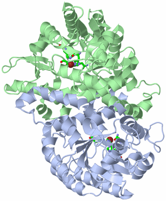 Image Asym./Biol. Unit - sites