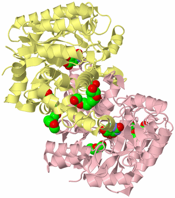 Image Biological Unit 2