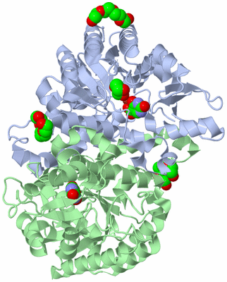 Image Asym./Biol. Unit