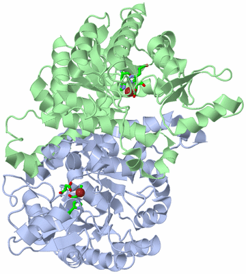 Image Asym./Biol. Unit - sites