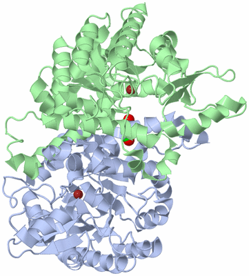 Image Asym./Biol. Unit