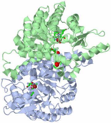 Image Asym./Biol. Unit - sites