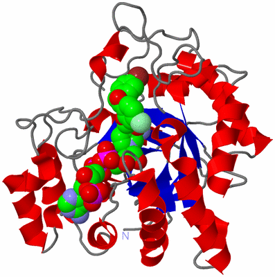 Image Asym./Biol. Unit