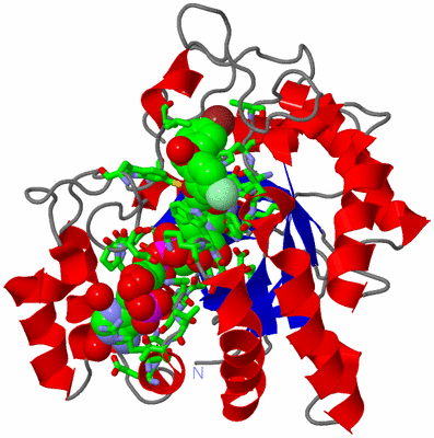 Image Asym./Biol. Unit - sites