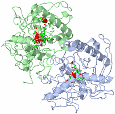 Image Asym./Biol. Unit - sites