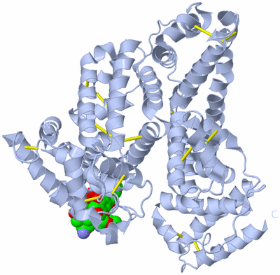 Image Biological Unit 1