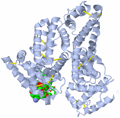 Image Biol. Unit 1 - sites