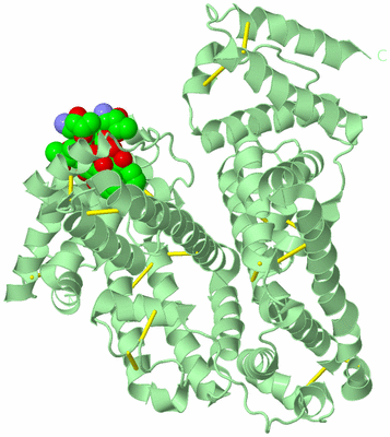 Image Biological Unit 2