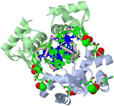 Image Biol. Unit 1 - sites