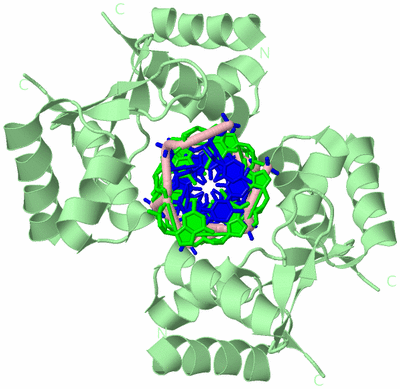 Image Biological Unit 1