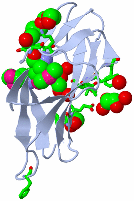 Image Biol. Unit 1 - sites