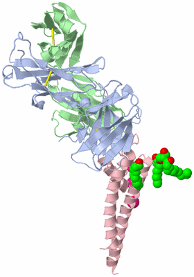 Image Asymmetric Unit