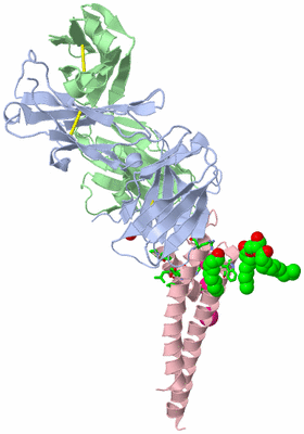 Image Asym. Unit - sites