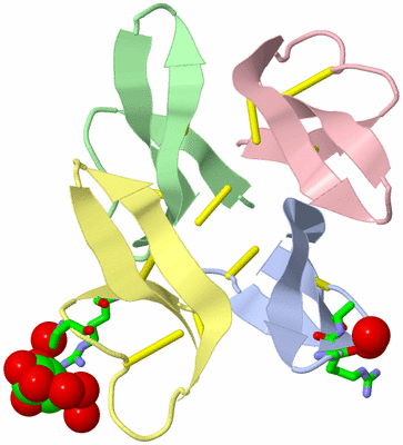 Image Biol. Unit 1 - sites