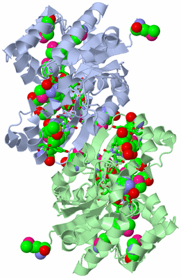 Image Asym./Biol. Unit - sites