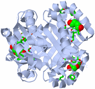 Image Biol. Unit 1 - sites