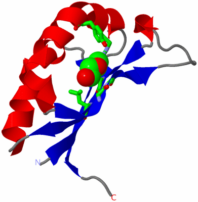 Image Asym. Unit - sites