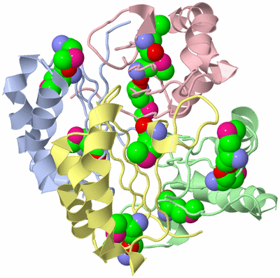 Image Asym./Biol. Unit