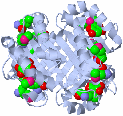 Image Biological Unit 1