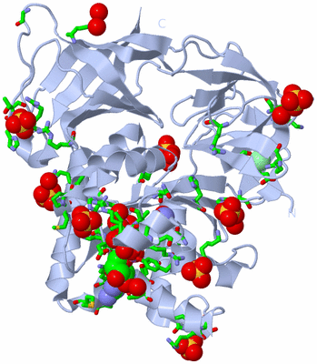 Image Biol. Unit 1 - sites