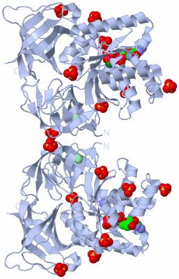 Image Biological Unit 2