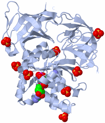 Image Biological Unit 1