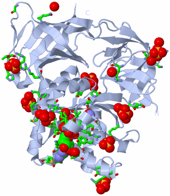 Image Biol. Unit 1 - sites