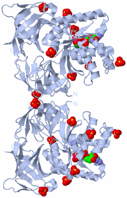 Image Biological Unit 2