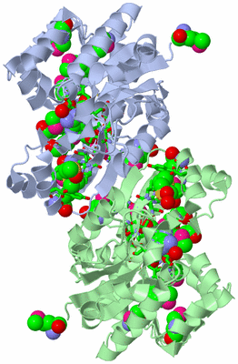 Image Asym./Biol. Unit - sites