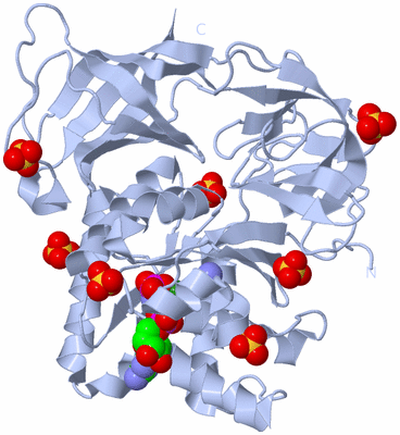 Image Biological Unit 1