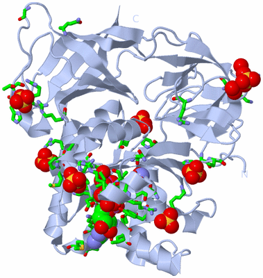 Image Biol. Unit 1 - sites