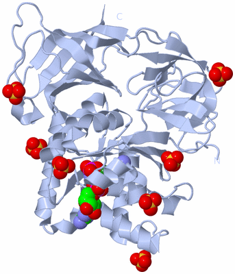 Image Biological Unit 1