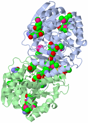 Image Asym./Biol. Unit