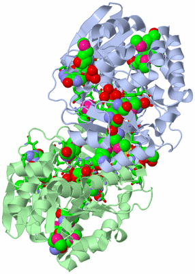 Image Asym./Biol. Unit - sites