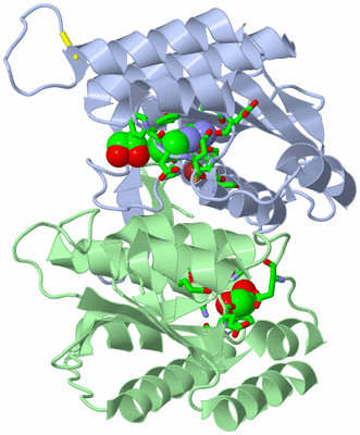 Image Asym./Biol. Unit - sites