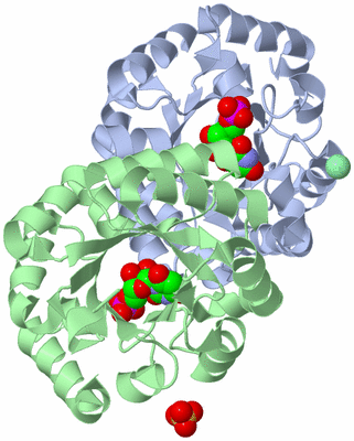 Image Asym./Biol. Unit