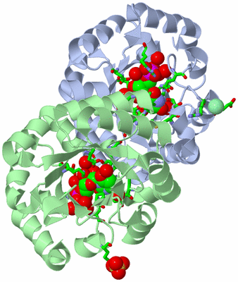 Image Asym./Biol. Unit - sites