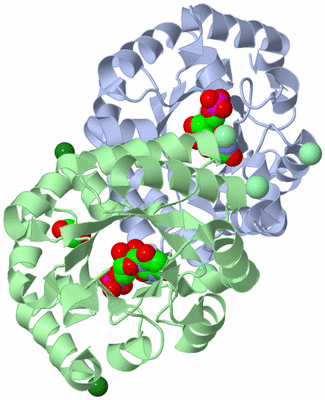 Image Asym./Biol. Unit