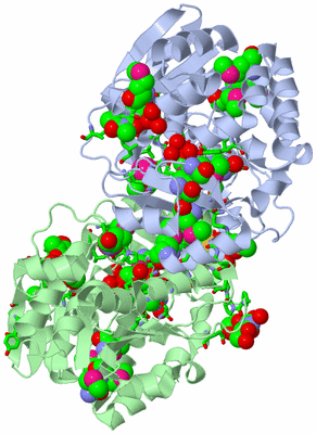 Image Asym./Biol. Unit - sites