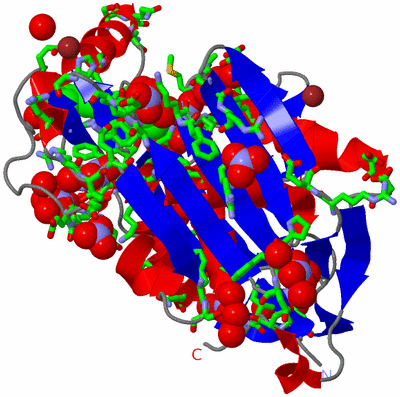 Image Asym./Biol. Unit - sites