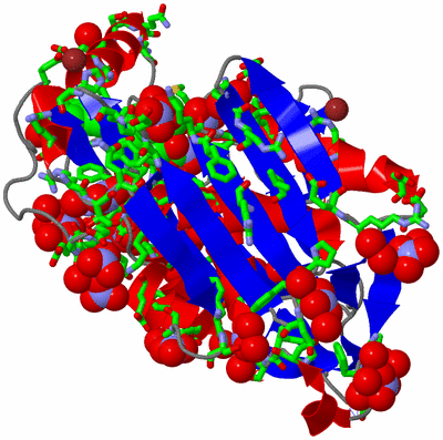 Image Asym./Biol. Unit - sites