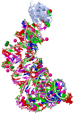 Image Biol. Unit 1 - sites