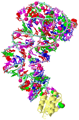 Image Biological Unit 2