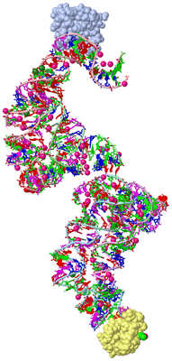 Image Asym. Unit - sites