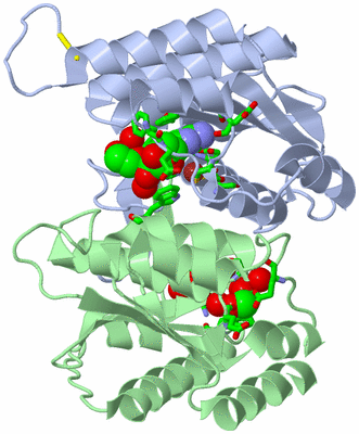 Image Asym./Biol. Unit - sites