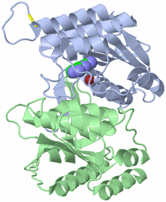 Image Asym./Biol. Unit