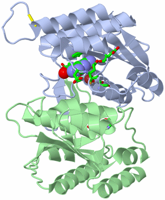 Image Asym./Biol. Unit - sites