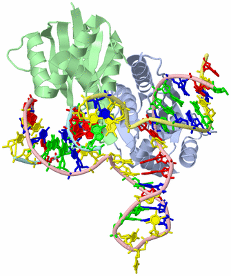 Image Asym./Biol. Unit