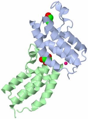 Image Biological Unit 3