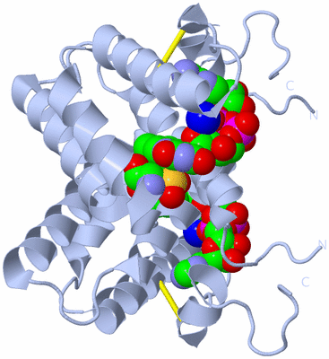 Image Biological Unit 1